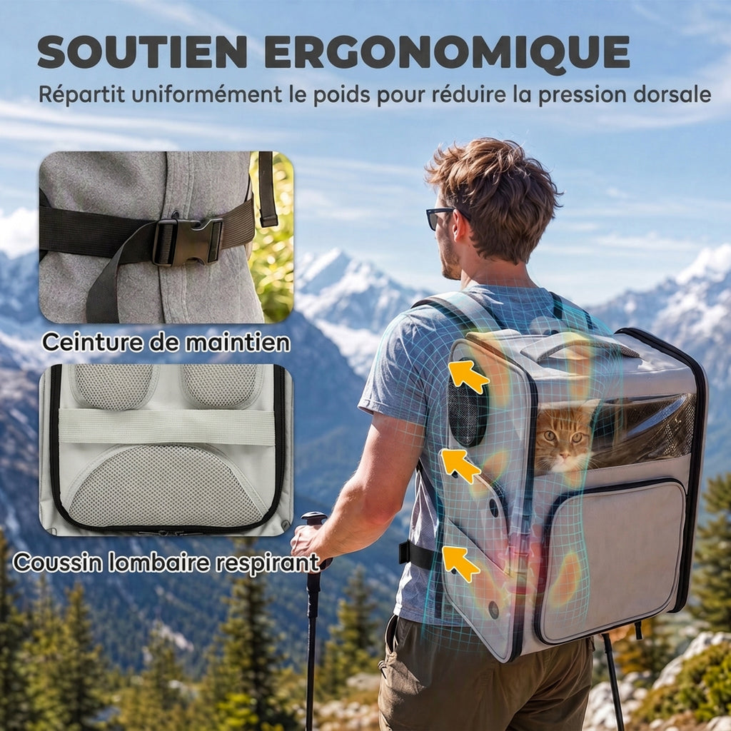 Sac de Transport pour Chat 2-en-1 à Roulettes Pliable Extensible Ventilé Soutien Lombaire Respirant 34x28x43cm Gris