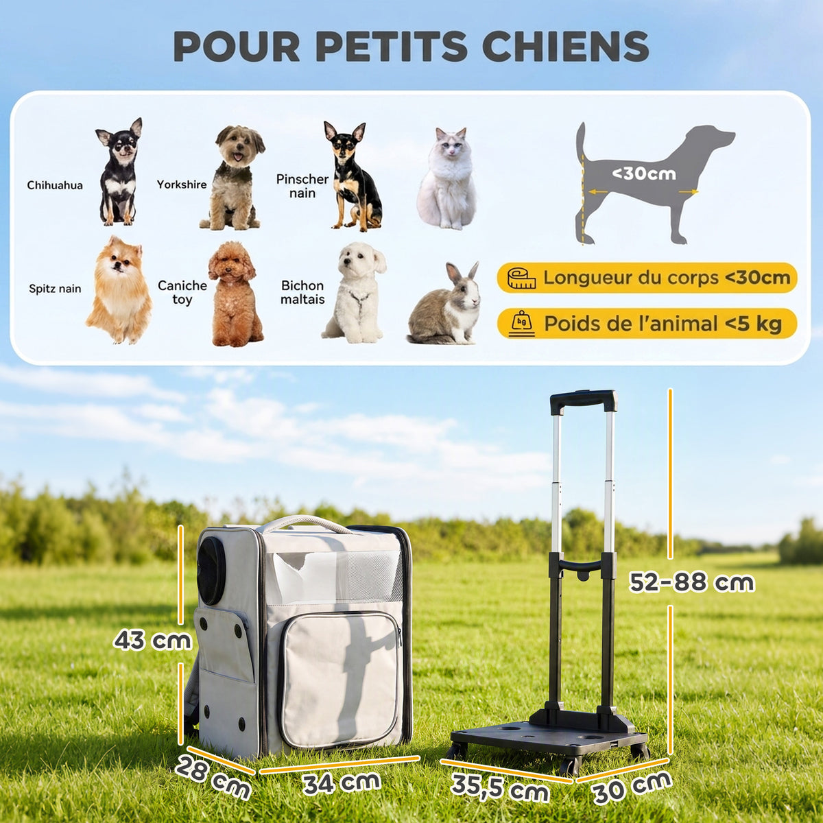 Sac de Transport pour Chat 2-en-1 à Roulettes Pliable Extensible Ventilé Soutien Lombaire Respirant 34x28x43cm Gris